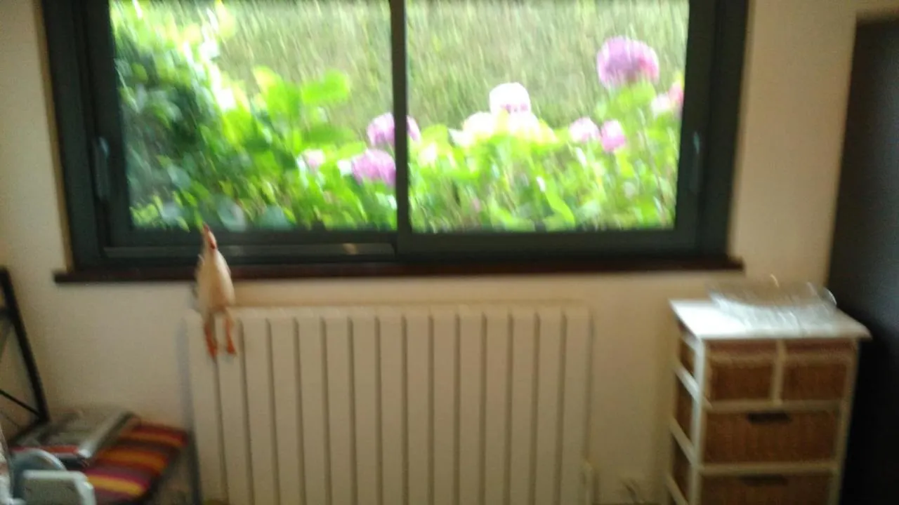 Les Hortensias Plouha Ferienhaus